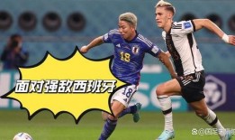 日本世界杯最新爆料消息,揭秘神秘阵容与备战策略