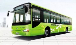 张家口公交车爆料新闻最新,多车相撞，伤亡情况引关注